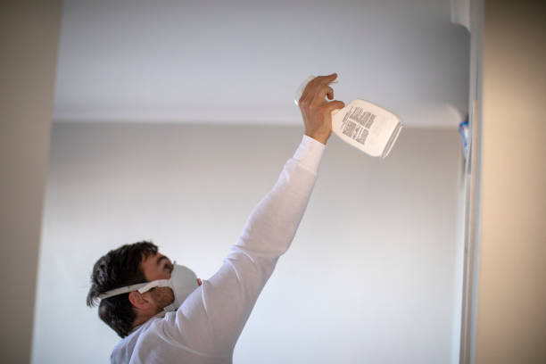 Best Commercial Mold Removal  in Wayne City, IL