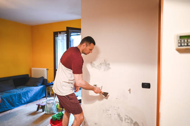 Professional Mold Removal in Wayne City, IL